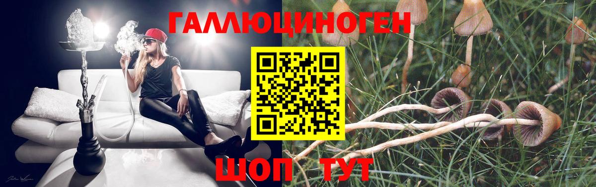 Галлюциногенные грибы прущие грибы Каменка