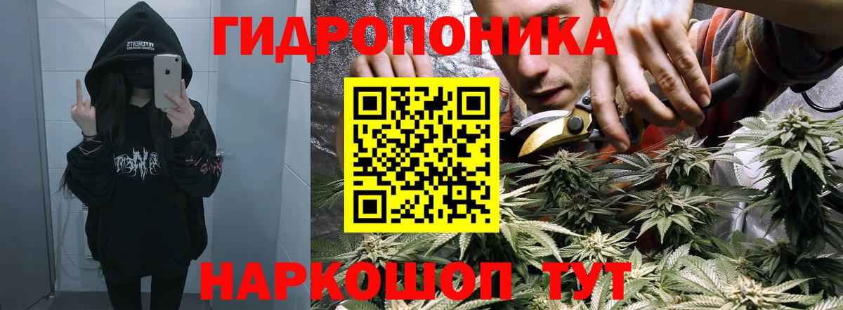 Бошки марихуана THC 21%  Конопля OG Kush  Вход с VPN  Бошки Шишки THC 21%  Каменка 